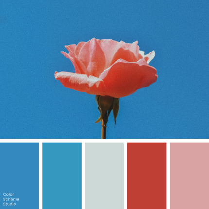 Vintage muted color palette — photograph and five-color palette