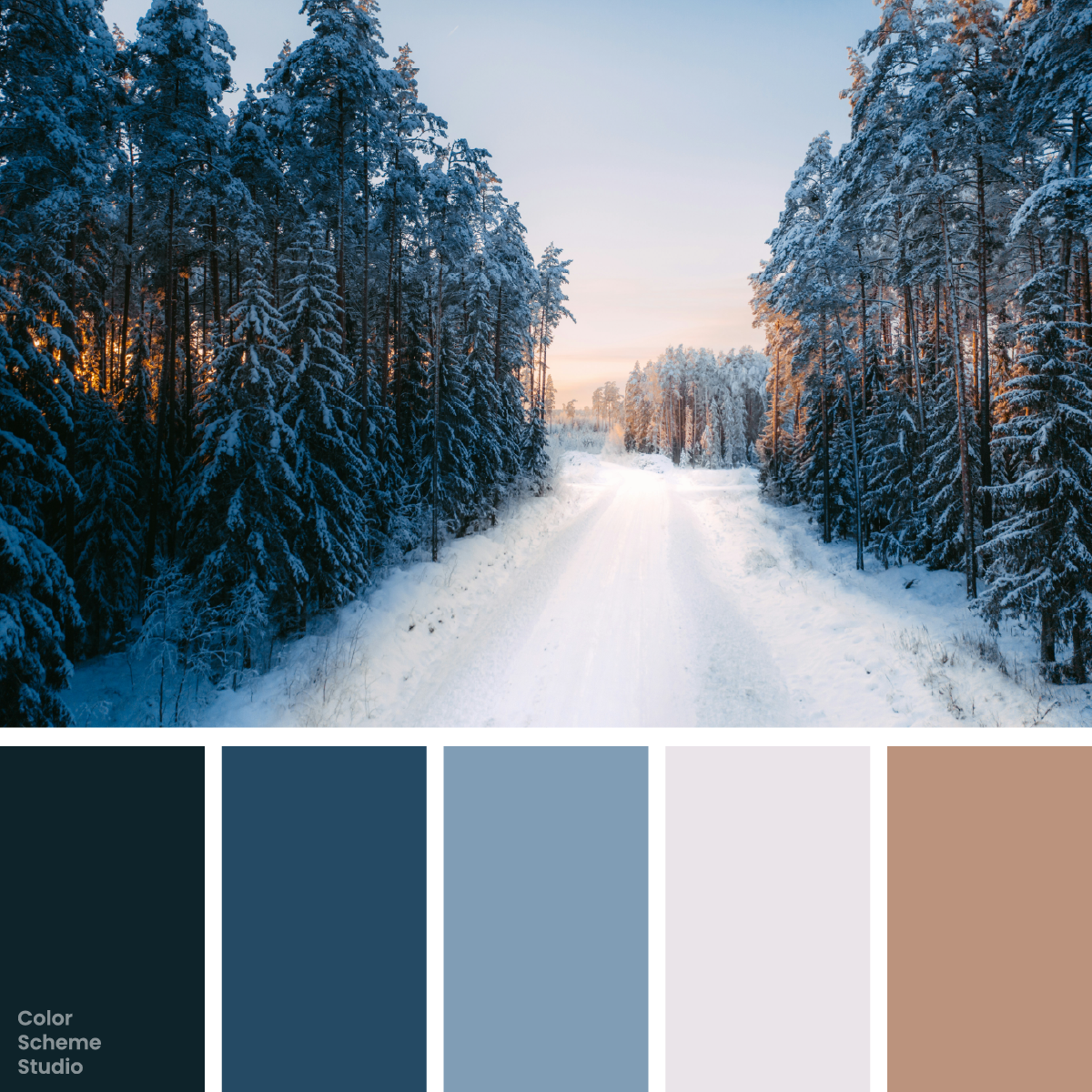 Winter blue color palette — photograph and five-color palette